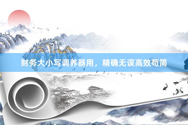 财务大小写调养器用，精确无误高效苟简