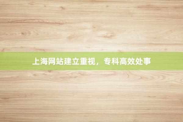 上海网站建立重视，专科高效处事