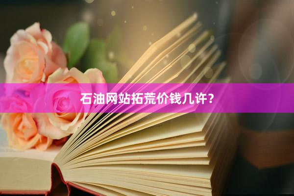 石油网站拓荒价钱几许？