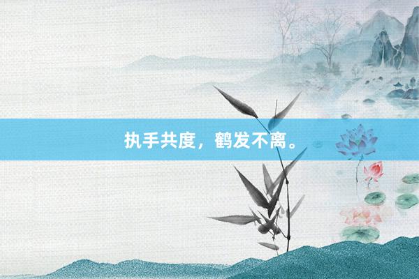 执手共度，鹤发不离。