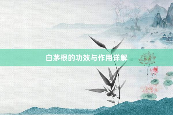 白茅根的功效与作用详解