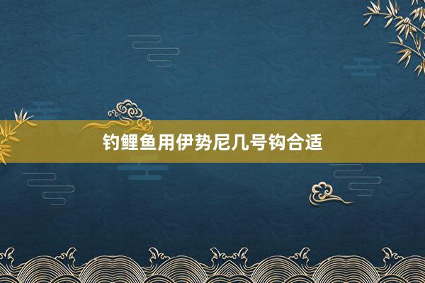 钓鲤鱼用伊势尼几号钩合适